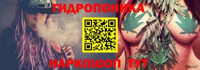 jwh Нальчик