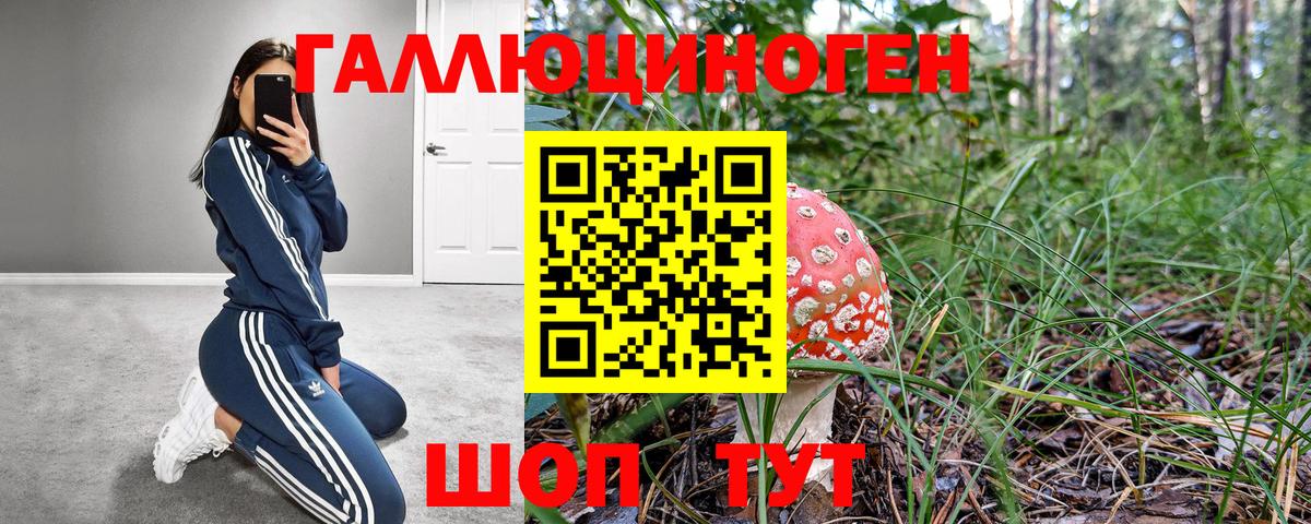 Галлюциногенные грибы Cubensis Нижневартовск
