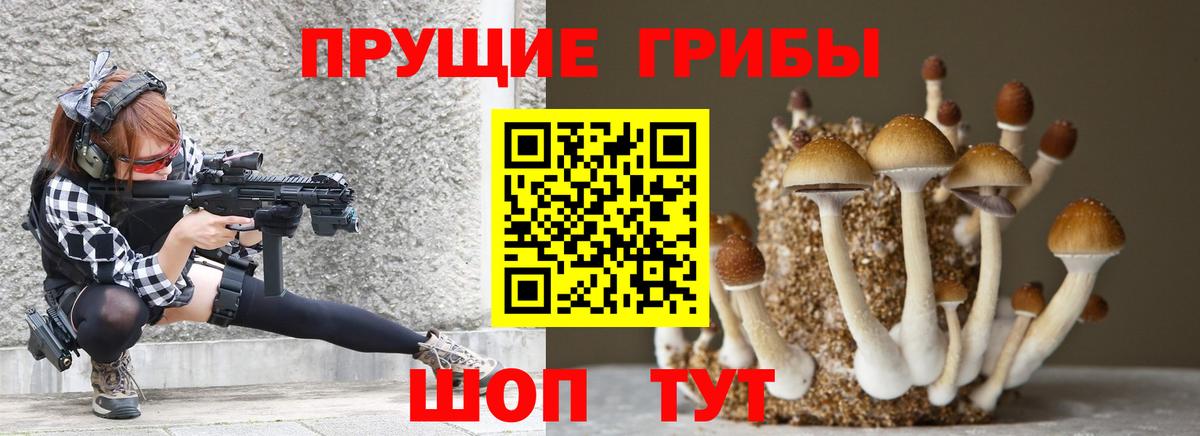 Псилоцибиновые грибы Cubensis  Вход с VPN  Псилоцибиновые грибы ЛСД  Нижневартовск 